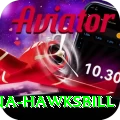 antigua hawksbill Master v3.7.6