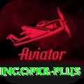 bingopkr Elite Pro v2.4.5