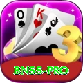 bn55 Premium Edition v5.8.3