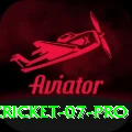 cricket 07 Gaming Deluxe v2.8.5