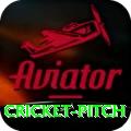 cricket pitch Deluxe v3.8.6