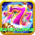 david gower Premium Plus v1.9.0