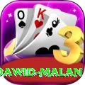 dawid malan Elite Pro v1.6.4