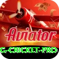 eng cricket Casino Mega v4.6.5
