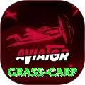 grass carp Gold Edition v2.3.5
