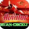 india pakistan cricket Deluxe Pro v2.2.0