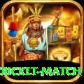 india pakistan cricket match Plus Pro v5.2.4