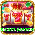 international cricket match Gold Edition v2.3.5