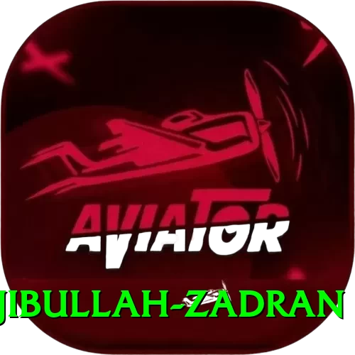 najibullah zadran Master v1.1.5 - 2