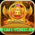 naseem shah yorkers Gold v3.7.1