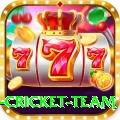 new zealand cricket team Master Pro v1.2.7