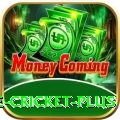online cricket Gaming Royal v4.3.4