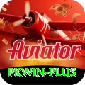 pkwin Pro1 v2.0.6