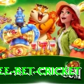 risk free bet cricket Pro Max v2.9.7