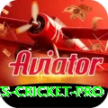 sports cricket - Slots Pro
