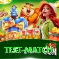 test match Plus v4.6.3