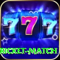 to day cricket match Premium v1.9.5