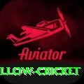 willow cricket Games (Casino & Earning) VIP v2.2.2