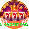 willow cricket Cash Turbo