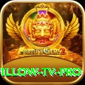 willow tv Casino Official v4.2.6