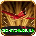 world cup t20 schedule Gold Edition v3.4.1