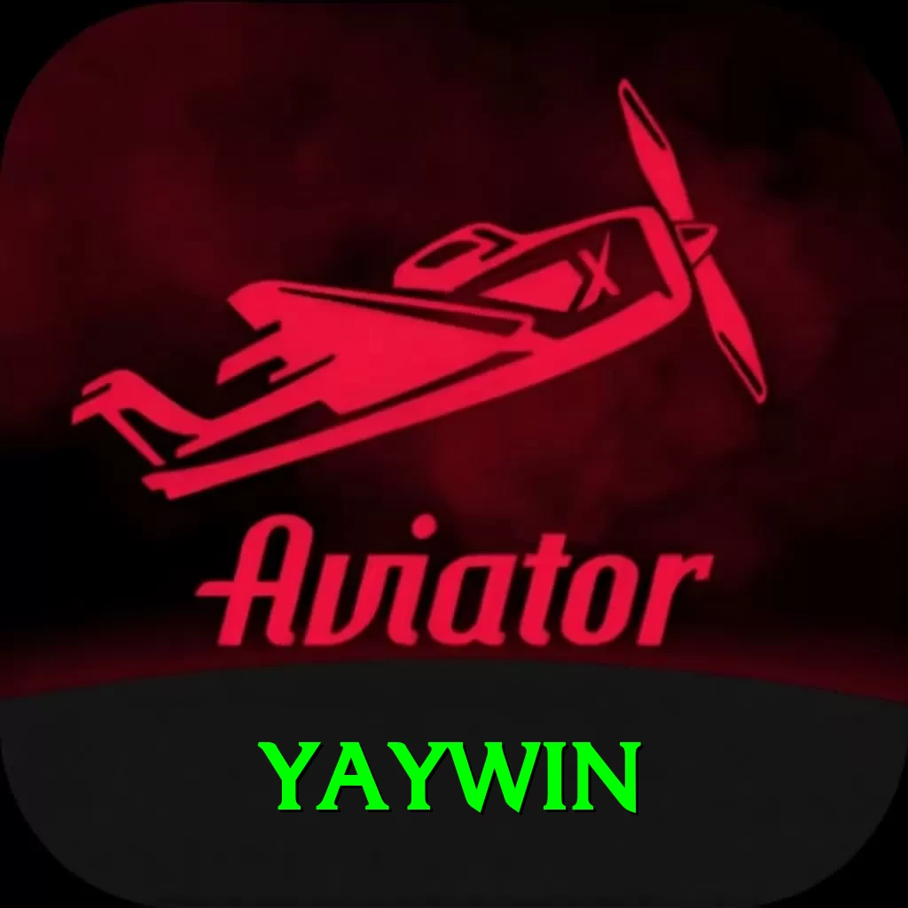 yaywin Pro v4.8.4 - 2